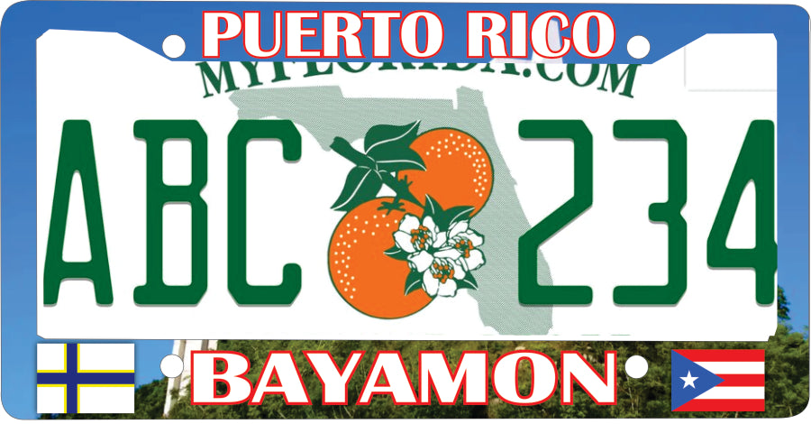 Bayamon Puerto Rico Souvenirs PRS Town Set
