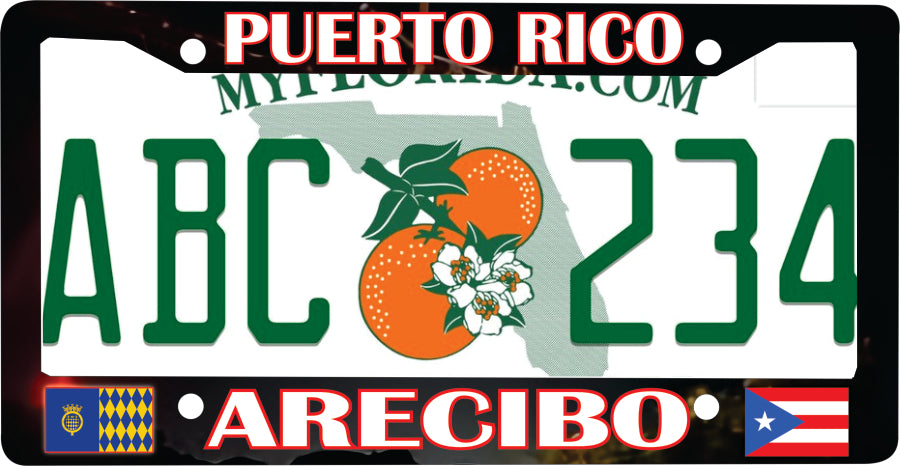 Arecibo Puerto Rico Souvenirs PRS Town Set