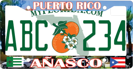 Añasco Puerto Rico Souvenirs PRS Town Set