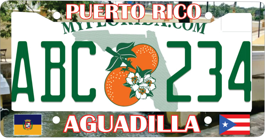 AGUADILLA Puerto Rico Souvenirs PRS Town Set