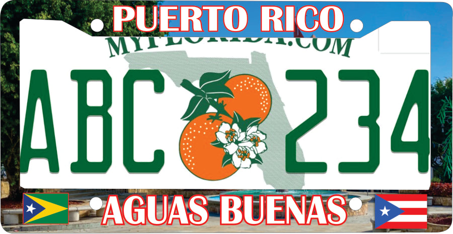 Aguas Buenas Puerto Rico Souvenirs PRS Town Set