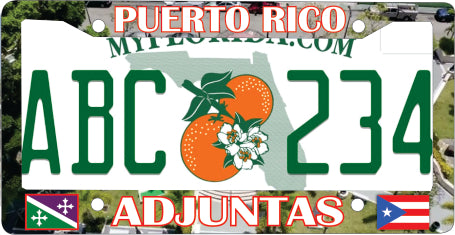 Adjuntas Puerto Rico Souvenirs PRS Town Set